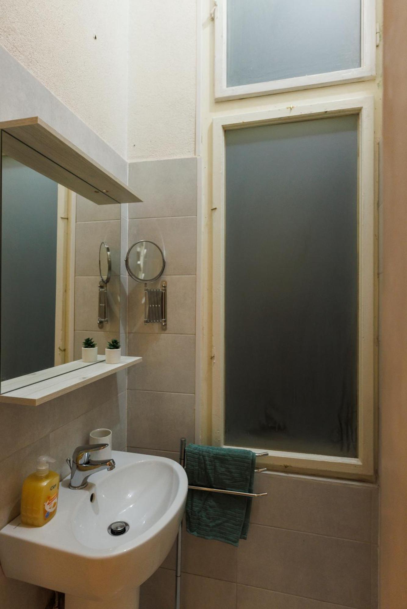 טימישוארה Victoriei Square Apartment מראה חיצוני תמונה